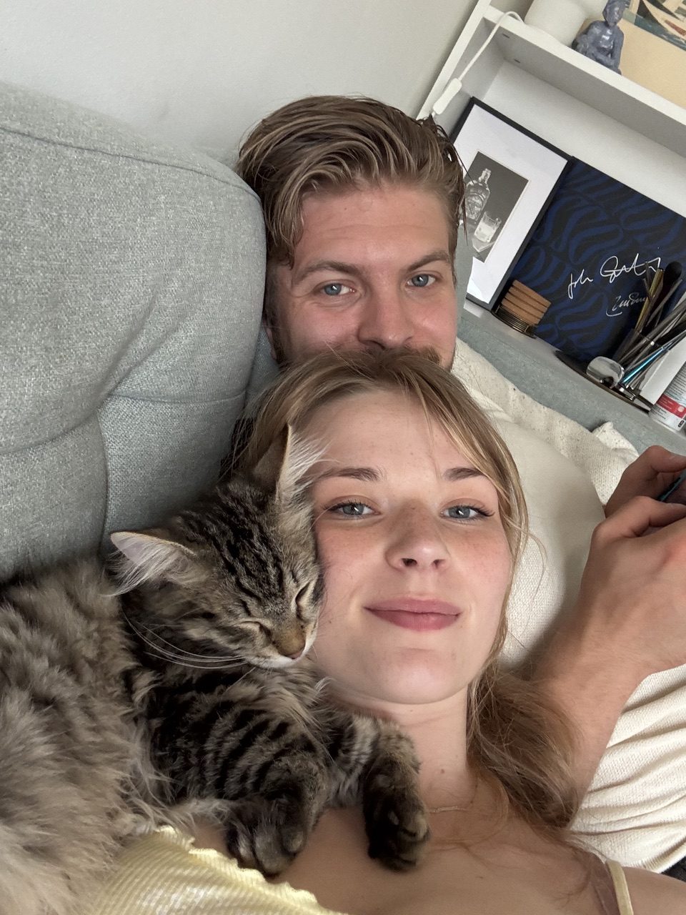 Med katten